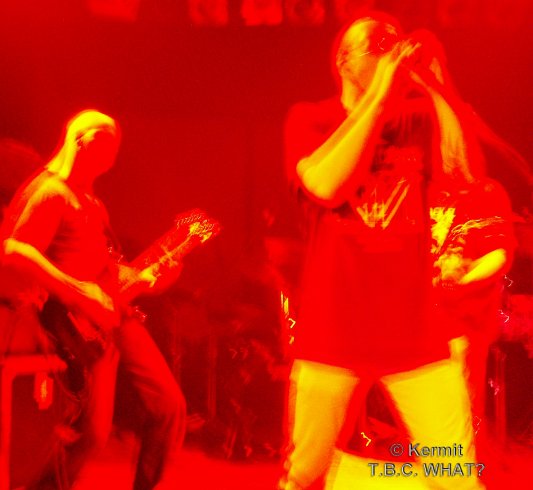 Pict5336