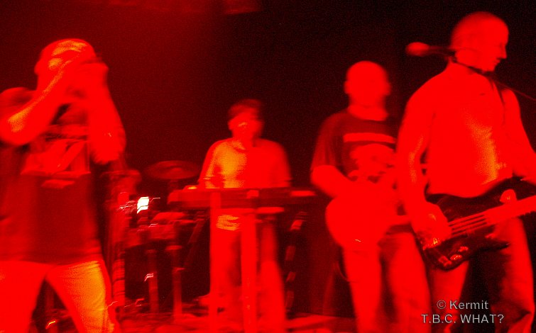 Pict5347